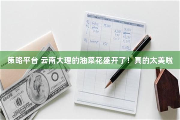策略平台 云南大理的油菜花盛开了！真的太美啦