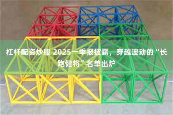 杠杆配资炒股 2025一季报披露，穿越波动的“长跑健将”名单出炉