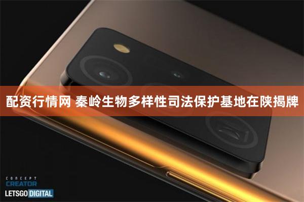 配资行情网 秦岭生物多样性司法保护基地在陕揭牌