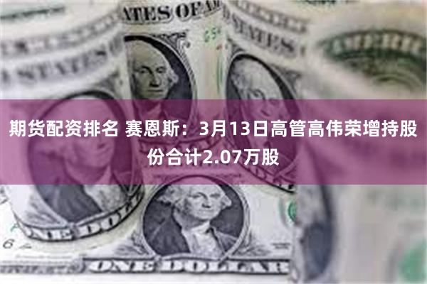 期货配资排名 赛恩斯：3月13日高管高伟荣增持股份合计2.07万股