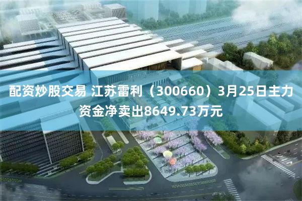 配资炒股交易 江苏雷利（300660）3月25日主力资金净卖出8649.73万元