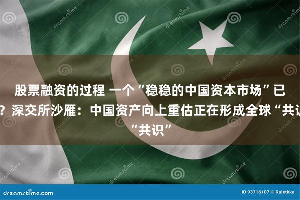 股票融资的过程 一个“稳稳的中国资本市场”已至？深交所沙雁：中国资产向上重估正在形成全球“共识”