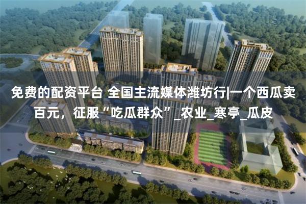 免费的配资平台 全国主流媒体潍坊行|一个西瓜卖百元，征服“吃瓜群众”_农业_寒亭_瓜皮