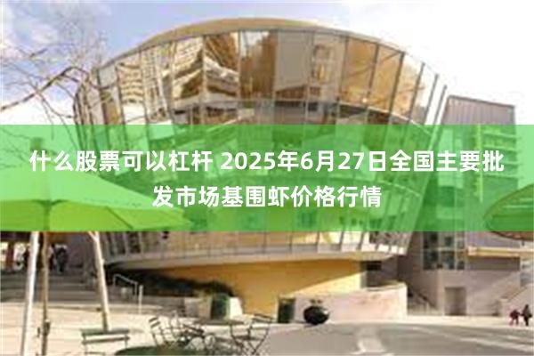 什么股票可以杠杆 2025年6月27日全国主要批发市场基围虾价格行情