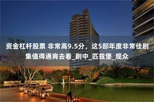 资金杠杆股票 非常高9.5分，这5部年度非常佳剧集值得通宵去看_剧中_匹兹堡_观众